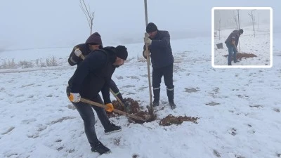 KURUYAN AĞA&Ccedil;LARIN YERİNE YENİ FİDANLAR