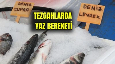 BALIKTA SEZON SONU  