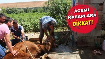 KURBAN KESİMİNDE KRİTİK UYARILAR