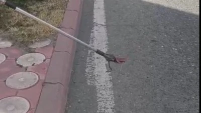OSB'DE G&Uuml;VENLİK KUL&Uuml;BESİNE GİREN YILAN KORKUTTU