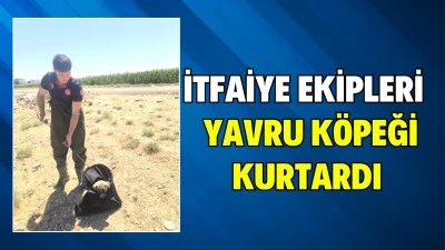 SU KANALINA DÜŞEN KÖPEK KURTARILDI