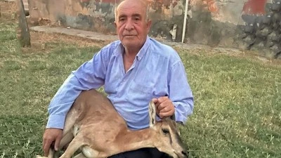 YARIM ASIR SONRA GELEN MİSAFİR G&Uuml;VENDE