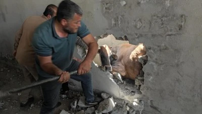 KÖPEKTEN KAÇAN İNEK DUVARA SIKIŞTI