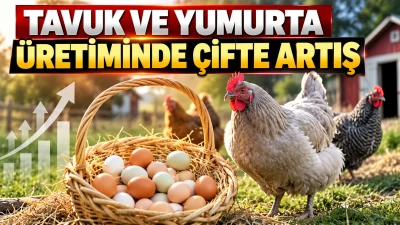 TAVUK VE YUMURTA &Uuml;RETİMİNDE &Ccedil;İFTE ARTIŞ