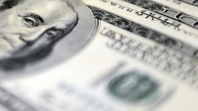 KURLARDA ANLIK G&Ouml;R&Uuml;N&Uuml;M