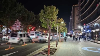 TARTIŞMALI BÖLGEYE YENİ AĞAÇLAR!