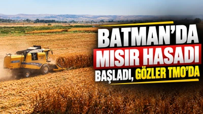 MISIR &Uuml;RETİCİSİ 17 BİN TL BEKLİYOR