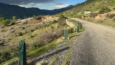 PROJE BAŞLADI, YOL KENARLARI MEYVE BAH&Ccedil;ESİNE D&Ouml;N&Uuml;Ş&Uuml;YOR