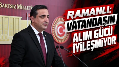 RAMANLI: VATANDAŞIN ALIM G&Uuml;C&Uuml; İYİLEŞMİYOR