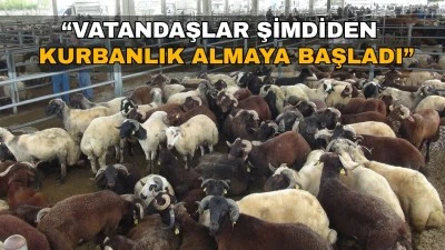 KURBANLIK FİYATLARINDA B&Uuml;Y&Uuml;K ARTIŞ YOK