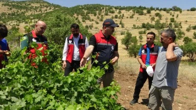 TARIMDA YENİ D&Ouml;NEM BAŞLADI
