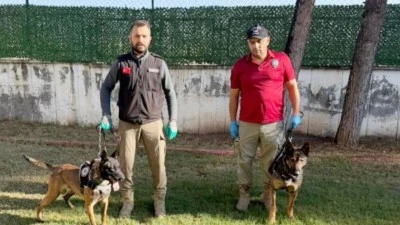 MAİLO VE HECTOR SUÇLULARA GÖZ AÇTIRMIYOR