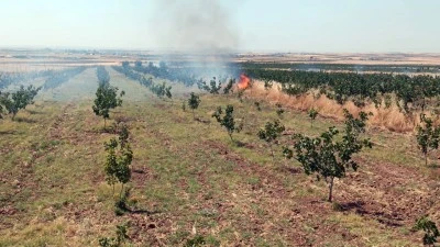 &Ccedil;EVRİMOVA'DA YANGIN ALARMI