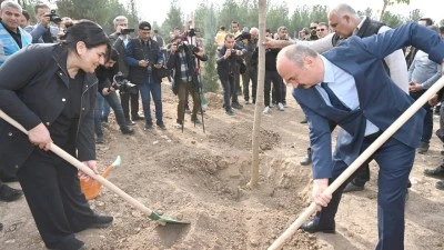 VALİ CANALP İLE FİDAN DİKİM SEFERBERLİĞİ BAŞLADI