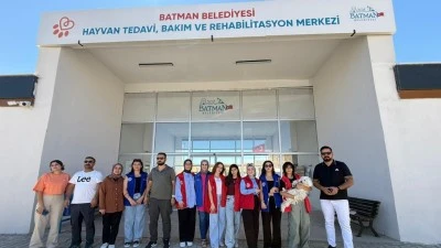 GENÇLER SOKAK HAYVANLARI İÇİN SEFERBER OLDU