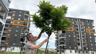 BATMAN’DA 180 AĞAÇLIK ÖRNEK DAYANIŞMA