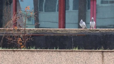 ZORLU HAVA KOŞULLARI