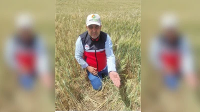 TARIMDA SÜNEYLE MÜCADELE SÜRÜYOR