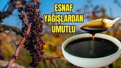 PEKMEZ TEZGAHLARINDA KURAKLIK ETKİSİ