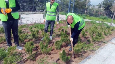 YEŞİL ALANLARDA BAHAR BAKIMI