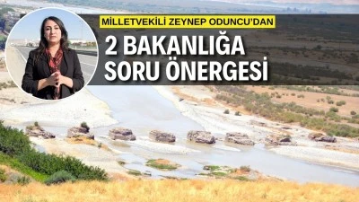 ODUNCU, PERPIRA KÖPRÜSÜ’NÜ MECLİS’E TAŞIDI