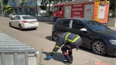 BATMAN'DA SIKIŞAN KEDİLERİ İTFAİYE KURTARDI