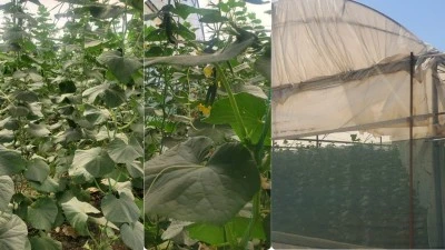 SERACILAR KOOPERATİFLEŞME ÇAĞRISI YAPTI