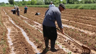 10,7 MİLYAR TL&rsquo;LİK TARIMSAL DESTEK YOLDA