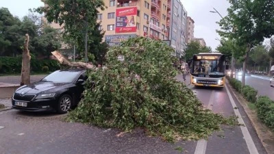 DEVRİLEN AĞAÇ PARK HALİNDEKİ ARACI VURDU
