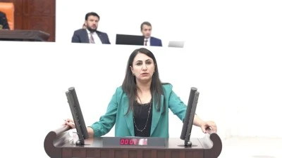 ZEYTİNLİKLER TEHDİT ALTINDA