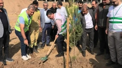 NASIROĞLU’NDAN AĞAÇ DİKME ÇAĞRISI