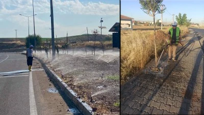 FİDANLAR TİTİZLİKLE SULANIYOR
