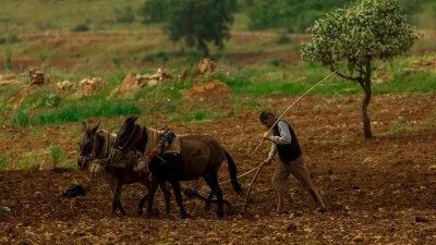 ÇİFTÇİ KURAKLIK VE MALİYET KISKACINDA