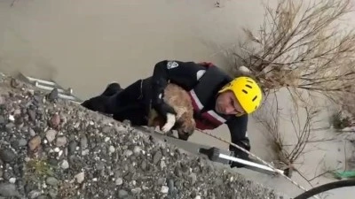 &Ccedil;AYDA MAHSUR KALAN K&Ouml;PEK KURTARILDI