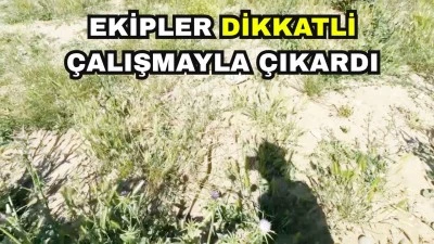 SANAYİ SİTESİNDE YILAN OPERASYONU