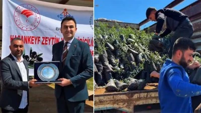 HASANKEYF&rsquo;TE ZEYTİNCİLİĞE 4 BİN FİDAN DESTEĞİ