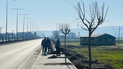 HASANKEYF YOLUNA YENİ AĞA&Ccedil;LAR DİKİLİYOR