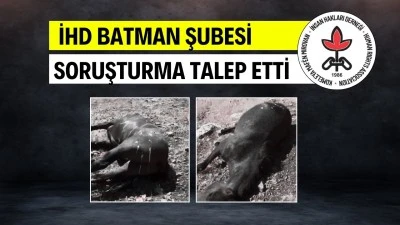 İHD BATMAN ŞUBESİ SORUŞTURMA TALEP ETTİ