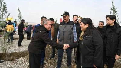 İKİ BİN FİDAN NEDEN SÖKÜLÜYOR?