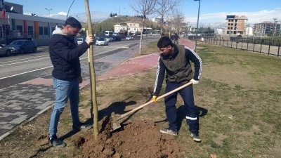 İLK İKİ AYDA 2 BİN 157 FİDAN DİKİLDİ