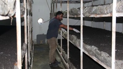 İNŞAAT İŞÇİLİĞİNDEN GİRİŞİMCİLİĞE: MANTAR TESİSİ KURDU