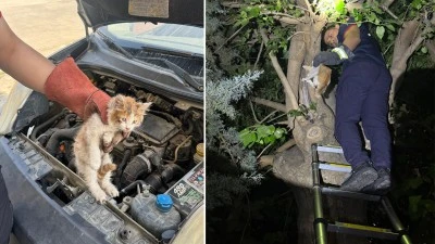 İTFAİYEDEN İKİ KEDİ KURTARMA OPERASYONU