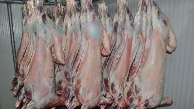 KA&Ccedil;AK KESİM VE M&Uuml;H&Uuml;RS&Uuml;Z ETLERE EL KONULDU