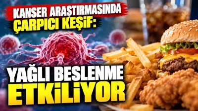 Kanser Araştırmasında &Ccedil;arpıcı Keşif: Yağlı Beslenme Etkiliyor