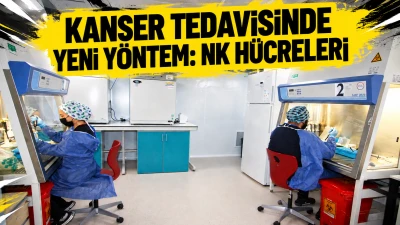 KANSER TEDAVİSİNDE YENİ Y&Ouml;NTEM: NK H&Uuml;CRELERİ