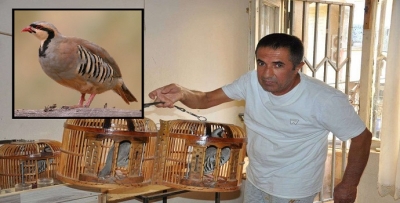 KEKLİK SEVGİSİ SİGARA BIRAKTIRDI