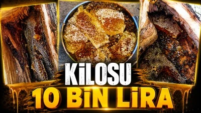 KİLOSU 10 BİN LİRA