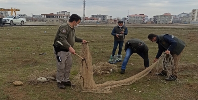 Kuş avlarken iyi düşünün