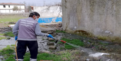 LARVALARA KARŞI ÖNLEYİCİ İLAÇLAMA