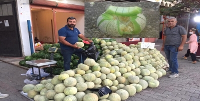 LEZZETİN ADI ‘CEFAN KAVUNU’